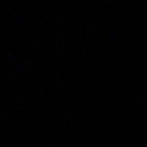 Meet your Posher, Simona